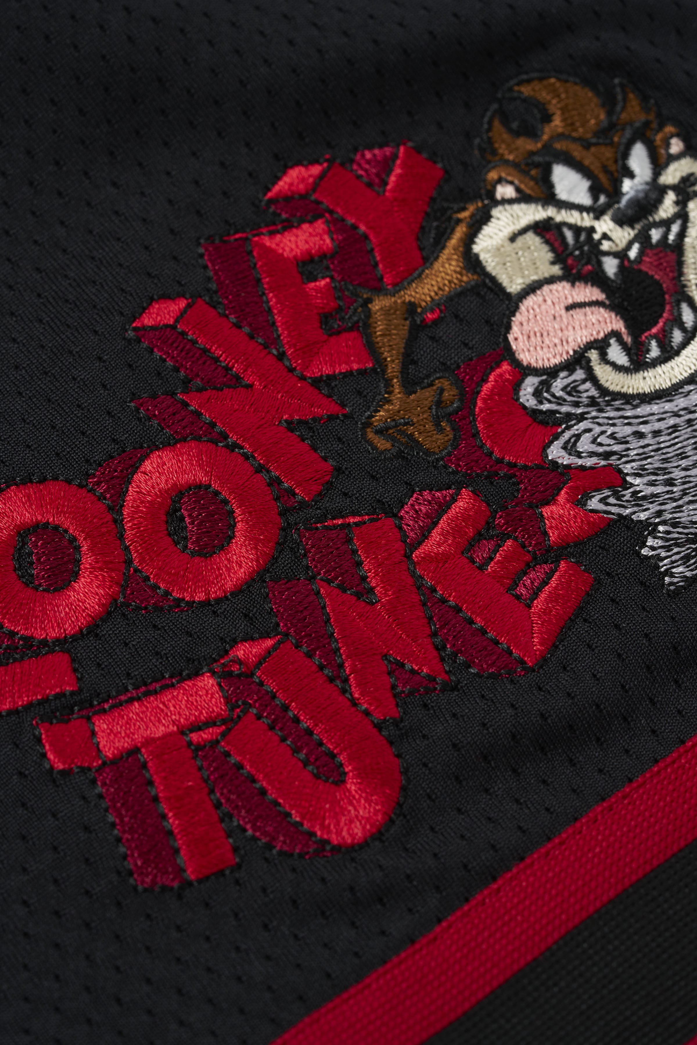 1071 - Looney Tunes Embroidered Patch Shorts