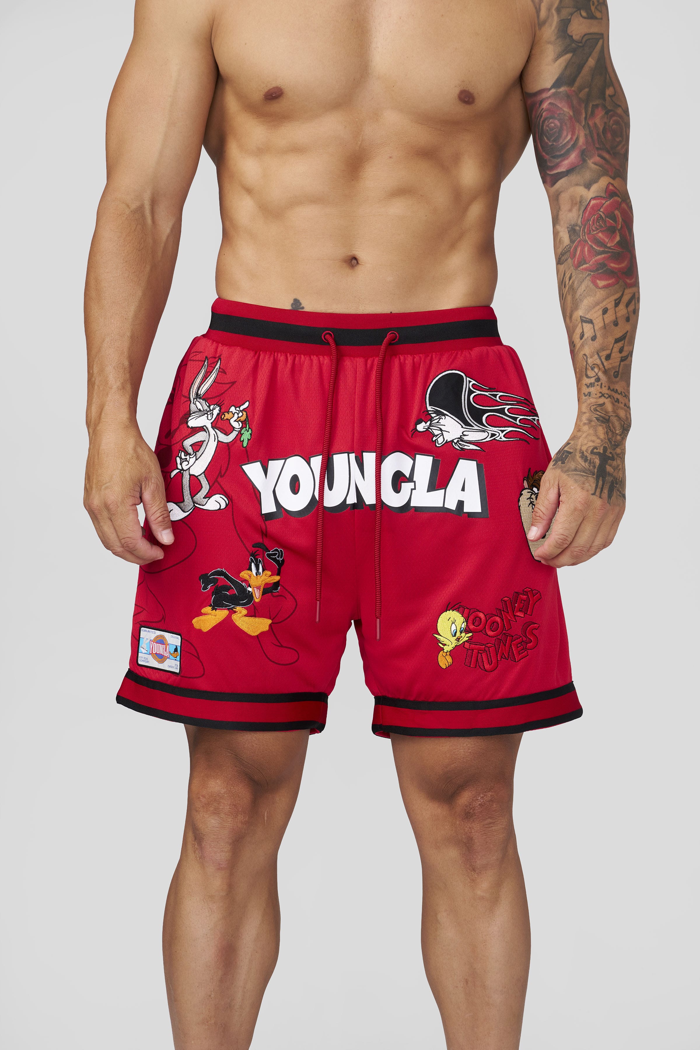1071 - Looney Tunes Embroidered Patch Shorts