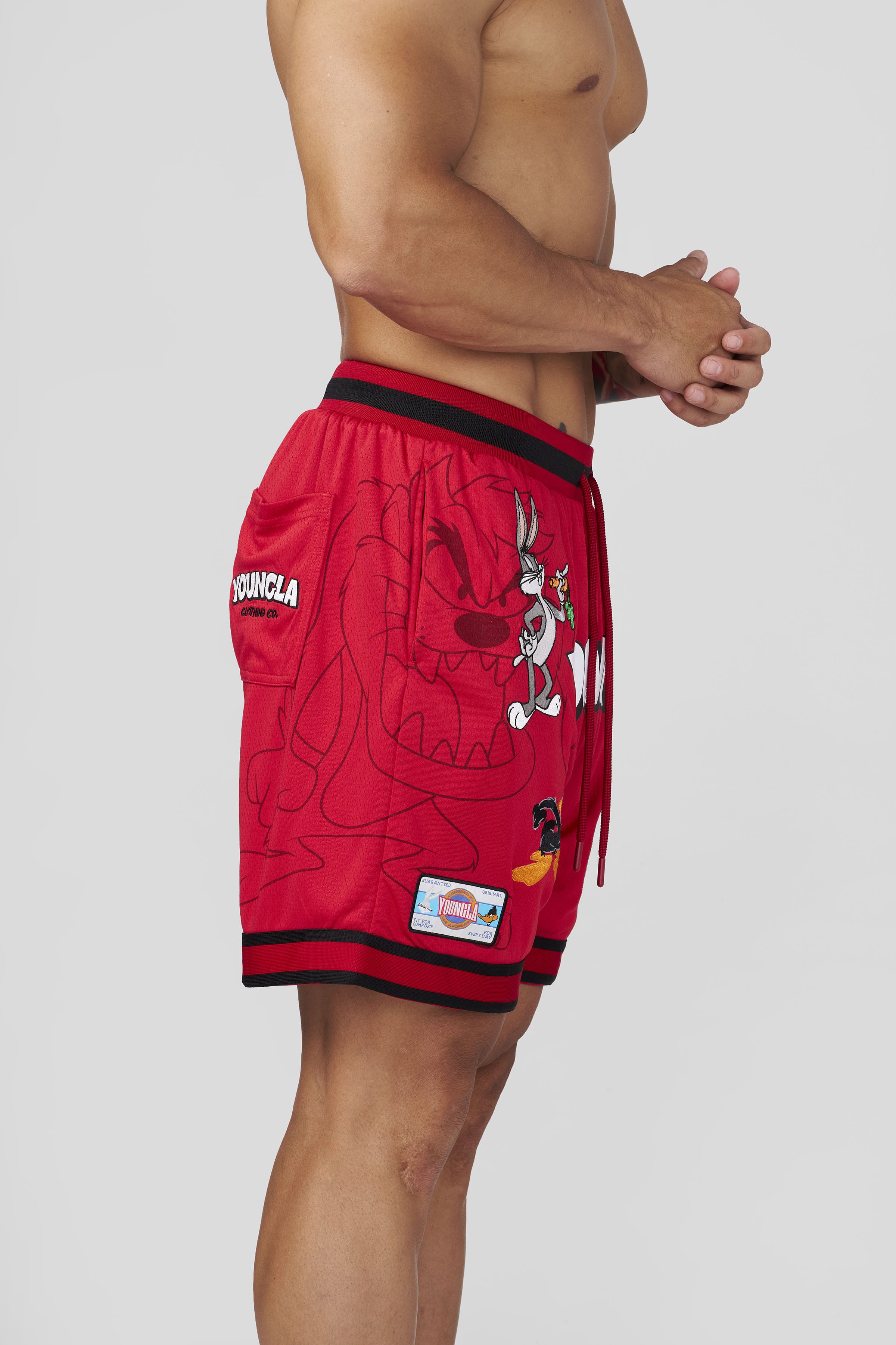 1071 - Looney Tunes Embroidered Patch Shorts