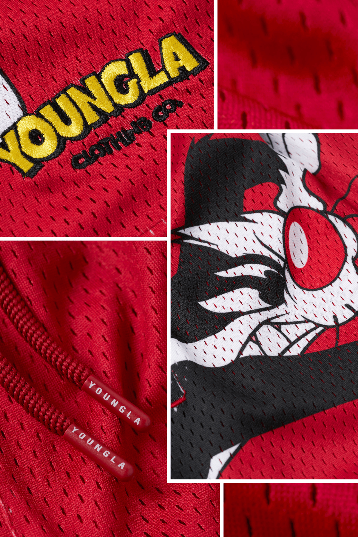 1098 - Looney Tunes Basketball Shorts