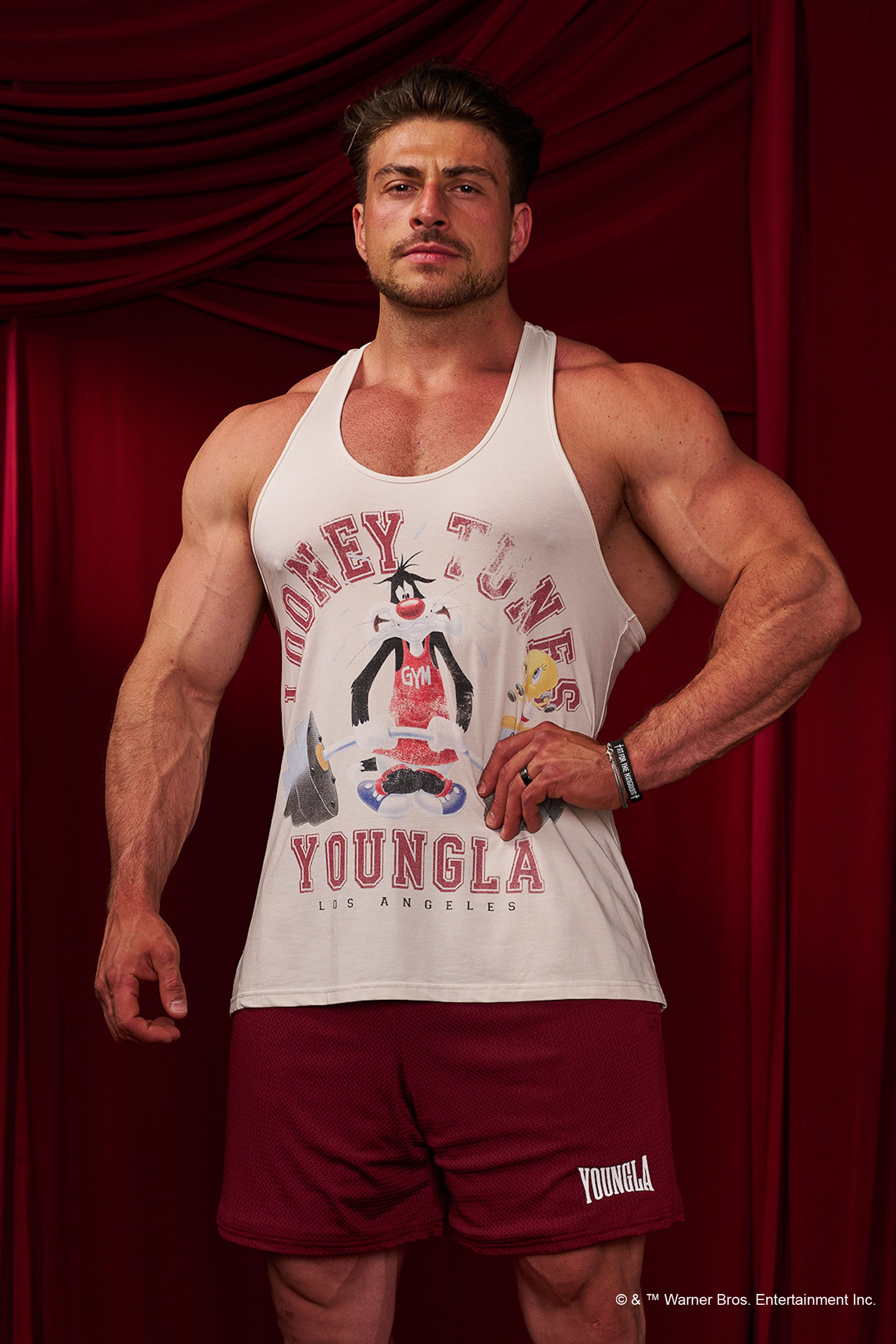 3078 - Looney Tunes Stringers